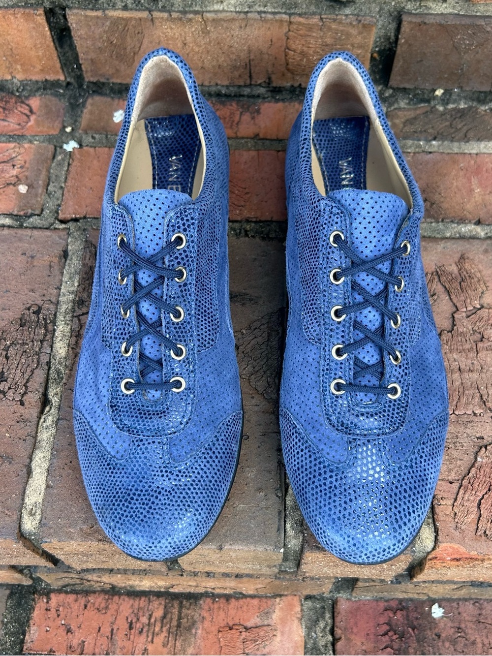Van Eli Suede/ Snakeskin Print Sneakers NEW Size 9N Narrow